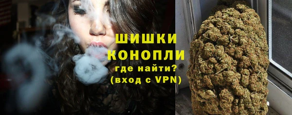 СК Няндома